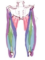  // 405x531 // 118.4KB