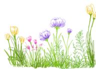  // 459x329 // 93.8KB