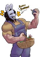 coelho easter // 564x794 // 337.8KB