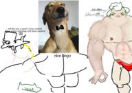  // 910x640 // 388.3KB