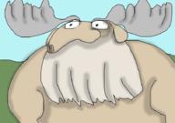  // 910x640 // 146.6KB