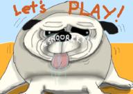  // 910x640 // 306.4KB