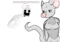  // 910x640 // 146.0KB