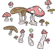  // 250x221 // 36.1KB