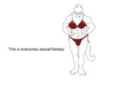  // 910x640 // 14.9KB