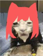  // 152x199 // 40.6KB