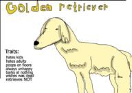  // 910x640 // 59.0KB