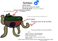  // 910x640 // 45.3KB