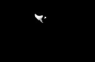  // 1031x677 // 49.9KB