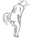  // 910x640 // 32.3KB