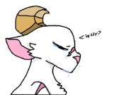  // 910x640 // 28.1KB