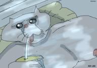  // 910x640 // 335.7KB