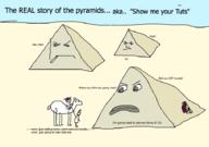  // 910x640 // 59.4KB