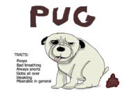  // 910x640 // 54.2KB