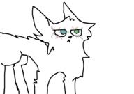  // 910x640 // 27.8KB