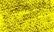  // 900x540 // 303.8KB