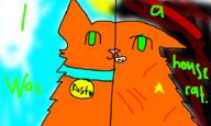  // 900x540 // 206.0KB