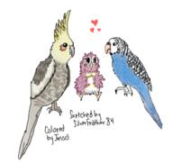  // 340x323 // 52.8KB