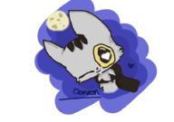  // 910x640 // 82.8KB