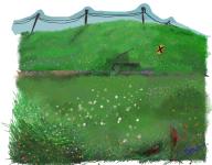 Landscape // 668x524 // 618.3KB