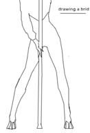  // 251x368 // 19.4KB