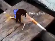 fennytanyl // 396x295 // 148.7KB