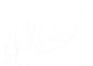  // 910x640 // 20.8KB