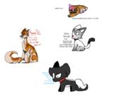  // 910x640 // 89.9KB