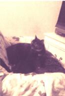  // 494x726 // 666.8KB