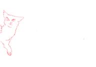  // 910x640 // 11.6KB