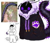 fursona // 533x456 // 274.1KB