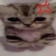  // 140x140 // 31.0KB