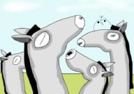  // 910x640 // 107.0KB