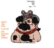  // 362x321 // 24.9KB