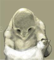  // 290x320 // 119.7KB