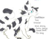  // 350x248 // 41.9KB