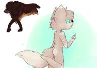  // 910x640 // 326.0KB