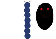  // 910x640 // 11.4KB