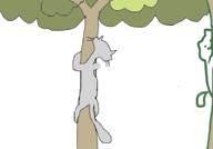  // 910x637 // 28.6KB