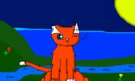  // 900x540 // 42.7KB
