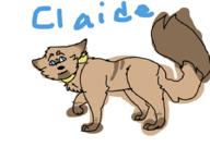  // 910x640 // 50.9KB