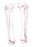  // 386x545 // 71.5KB