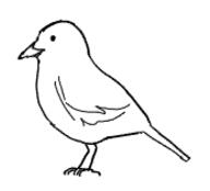 MPAWSHE corvid crow // 173x157 // 6.3KB