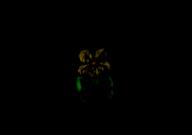  // 910x640 // 36.7KB