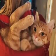  // 140x140 // 41.2KB