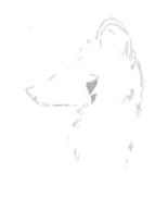  // 402x539 // 35.9KB