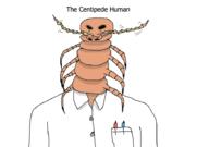  // 910x640 // 44.9KB