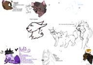  // 910x640 // 152.5KB