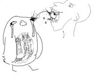  // 618x501 // 26.5KB