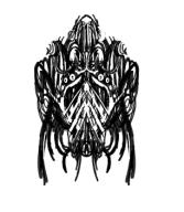  // 306x351 // 51.4KB
